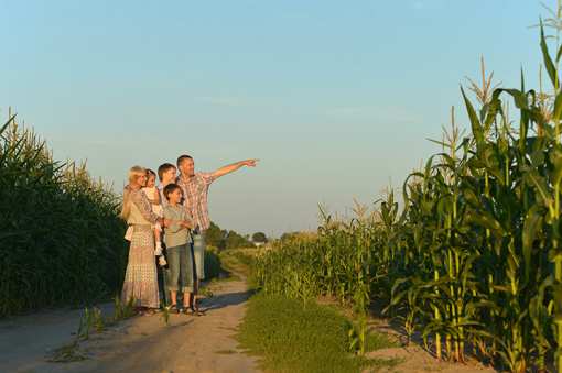 The 9 Best Corn Mazes in Indiana!