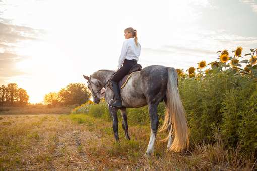 7 Best Horseback Riding Services in Indiana!