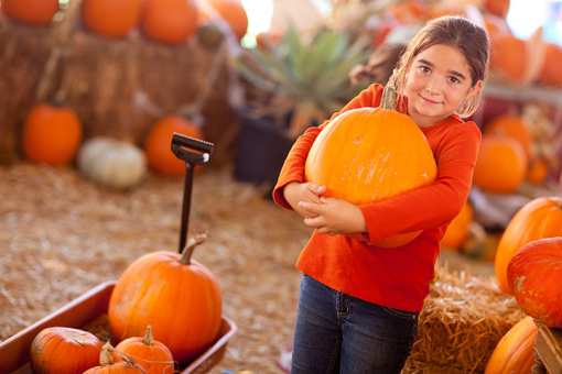 The 7 Best Pumpkin Picking Spots in Indiana!