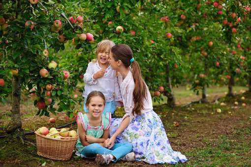 The 10 Best Apple Picking Spots in Kansas!