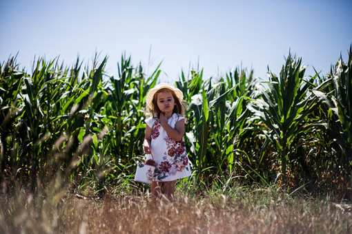 The 9 Best Corn Mazes in Kansas!
