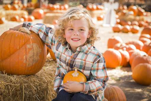The 10 Best Pumpkin Picking Spots in Kansas!