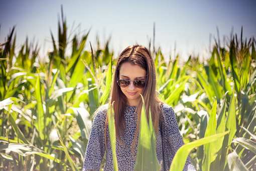 The 8 Best Corn Mazes in Kentucky!