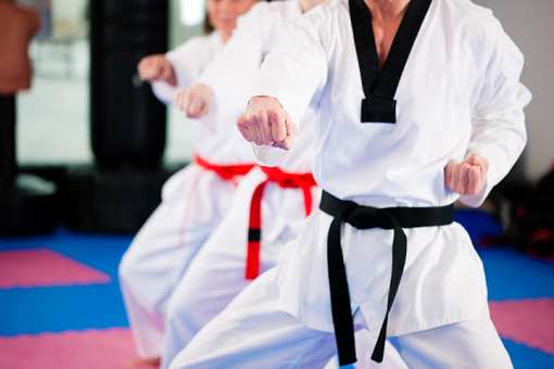 10 Best Taekwondo Studios in Kentucky!