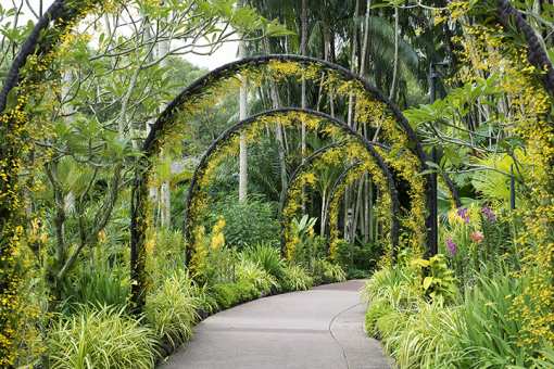 8 Beautiful Botanical Gardens in Louisiana!
