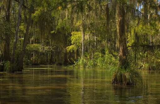 10 Best Myths and Urban Legends in Louisiana