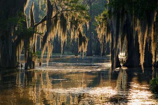 14 Most Romantic Places in Louisiana!