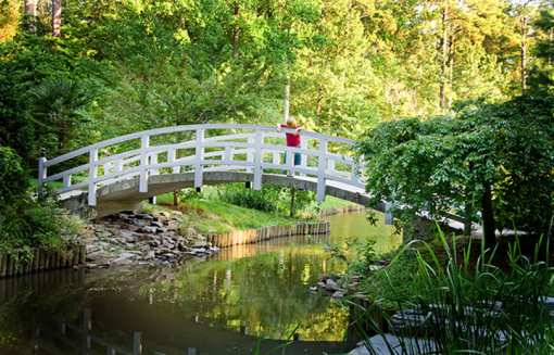 10 Beautiful Botanical Gardens in Massachusetts!