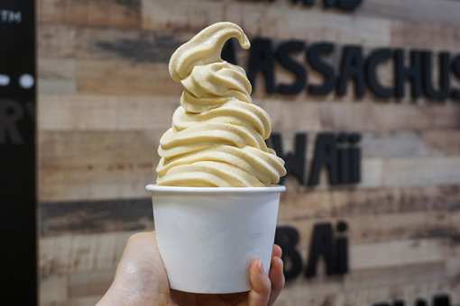 10 Best Frozen Yogurt Places in Massachusetts