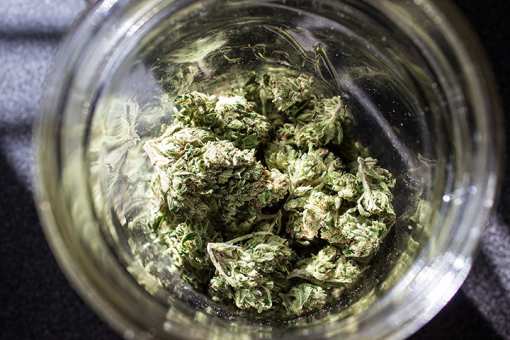 The 10 Best Marijuana Dispensaries in Massachusetts
