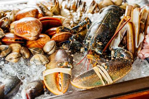 10 Best Seafood Markets in Massachusetts!