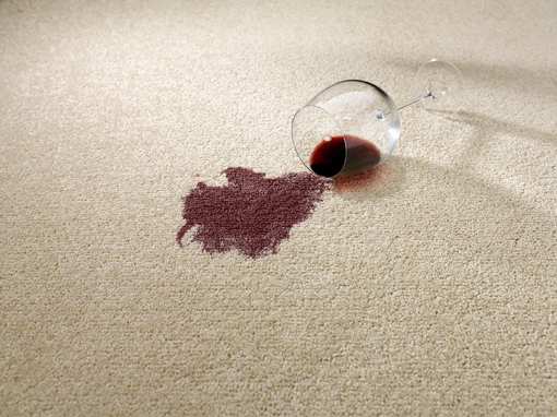 5 Best Carpet Cleaning Services in Maryland!