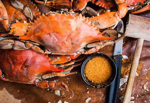 The 10 Best Places for Crab in Maryland!