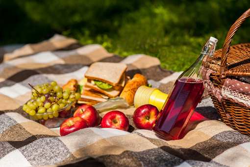 The 14 Best Picnic Spots in Maryland!