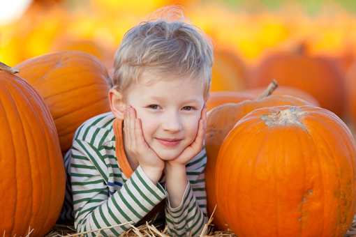 The 7 Best Pumpkin Patches in Maryland!