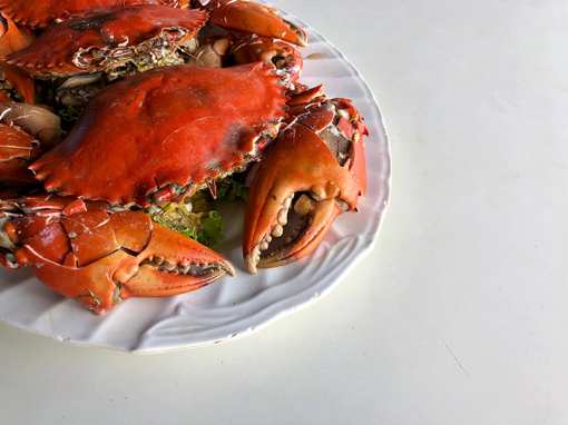 The 9 Best Places for Crab in Maine!