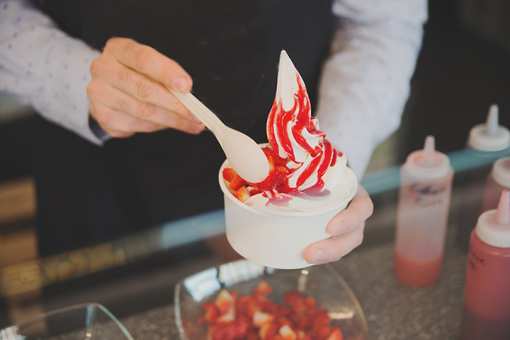 8 Best Frozen Yogurt Places in Maine!