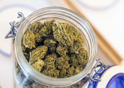 The Best Marijuana Dispensaries in Maine