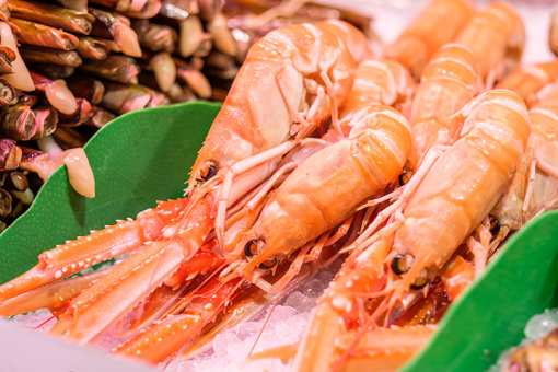 10 Best Seafood Markets in Maine!