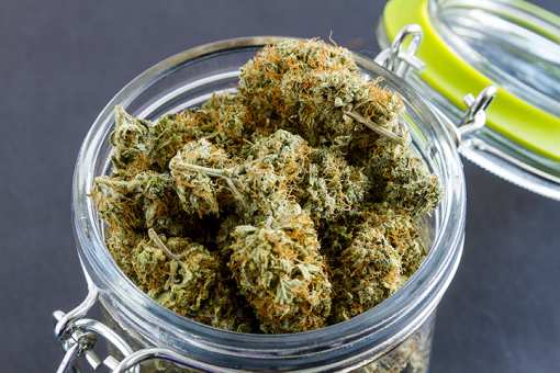 The Best Marijuana Dispensaries in Michigan
