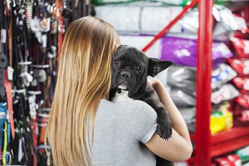 The 8 Best Pet Stores in Michigan!