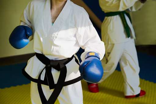 10 Best Taekwondo Studios in Michigan!