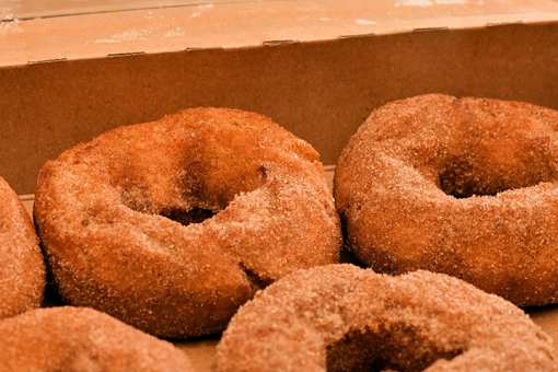 10 Best Apple Cider Doughnuts in Minnesota!