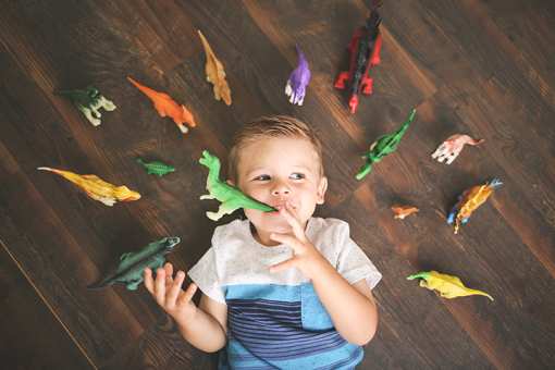 8 Best Toy Stores in Minnesota!