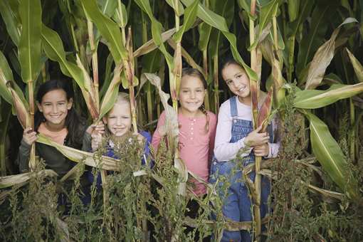 The 7 Best Corn Mazes in Missouri!