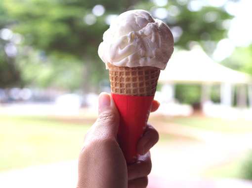 The 10 Best Ice Cream Parlors in Missouri!