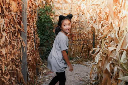 The 7 Best Corn Mazes in Mississippi!