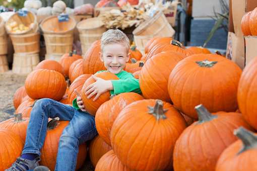 The 8 Best Fall Festivals in Mississippi!