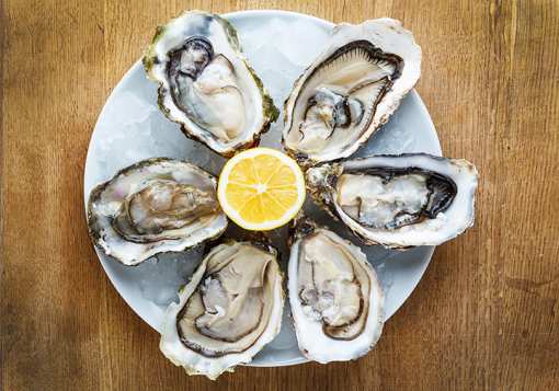 9 Best Places for Oysters in Mississippi