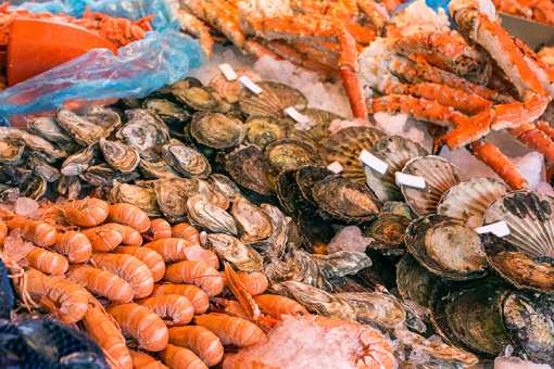 10 Best Seafood Markets in Mississippi!