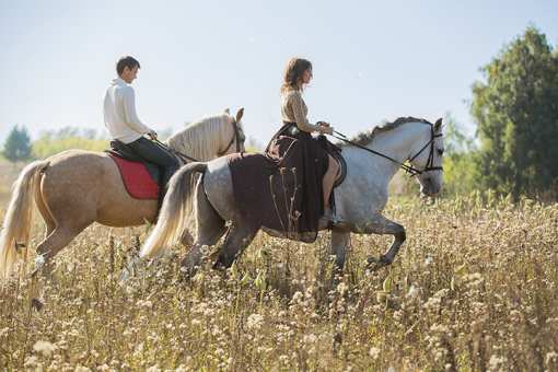 10 Best Horseback Riding Services in Montana!