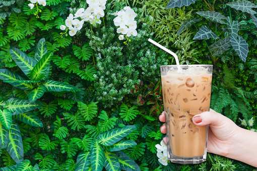 10 Best Spots for Iced Coffee in Montana!