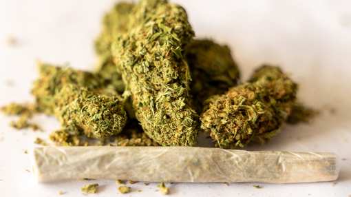 10 Best Marijuana Dispensaries in Montana