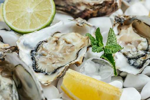 10 Best Places for Oysters in Montana!