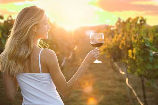 5 Best Wineries and Vineyards in Montana!