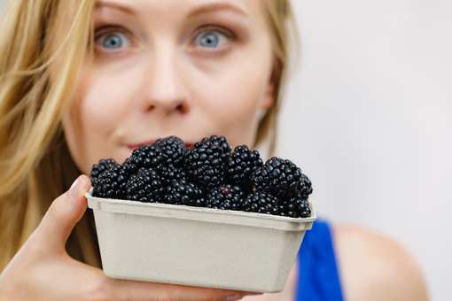 9 Best Blackberry Picking Farms in North Carolina!