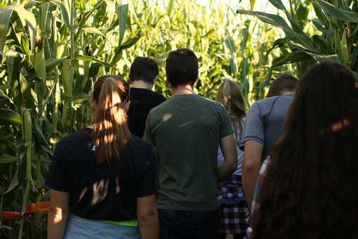 The 10 Best Corn Mazes in North Carolina!