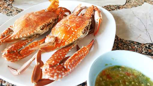 The 10 Best Places for Crab in North Carolina!