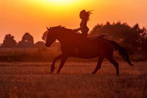 9 Best Horseback Riding Services in North Carolina!