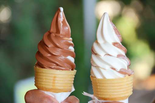 The 10 Best Ice Cream Parlors in North Carolina!