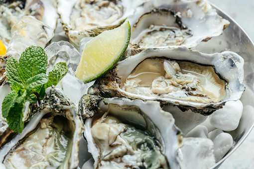 10 Best Places for Oysters in North Carolina!
