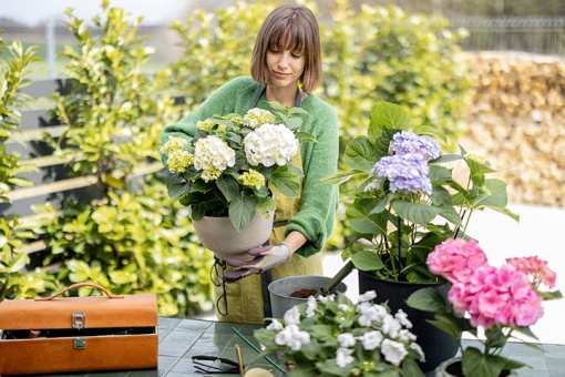 10 Best Florists in North Dakota!