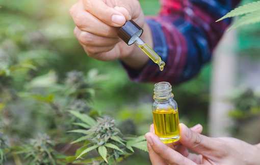 10 Best CBD Shops in New Hampshire!