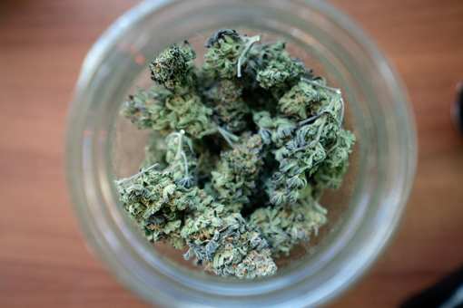The Best Marijuana Dispensaries in New Hampshire
