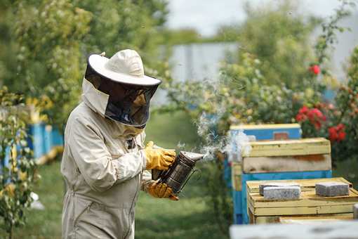 10 Best Honey Farms and Apiaries in New Jersey!