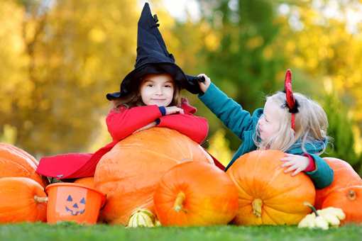 The 10 Best Pumpkin Patches in New Jersey!